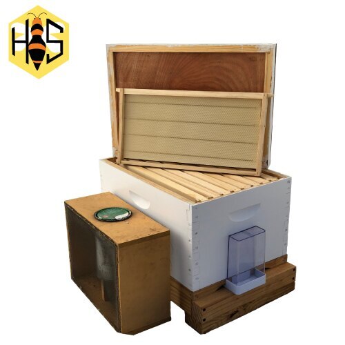 Beekeeping Starter Kit