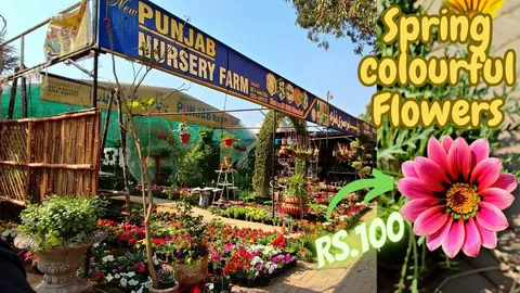 Flower Delivery Islamabad