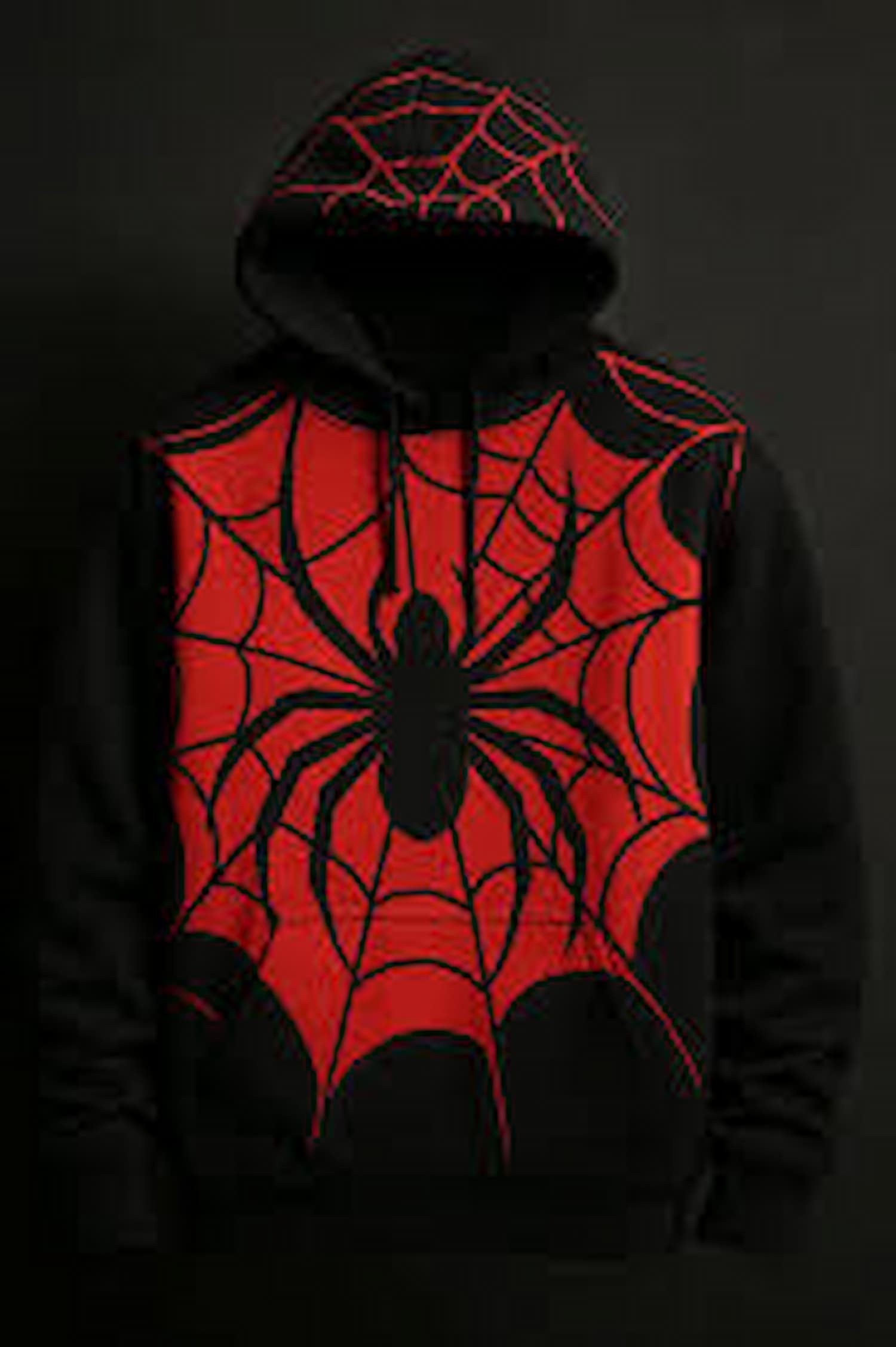 Spider Hoodie