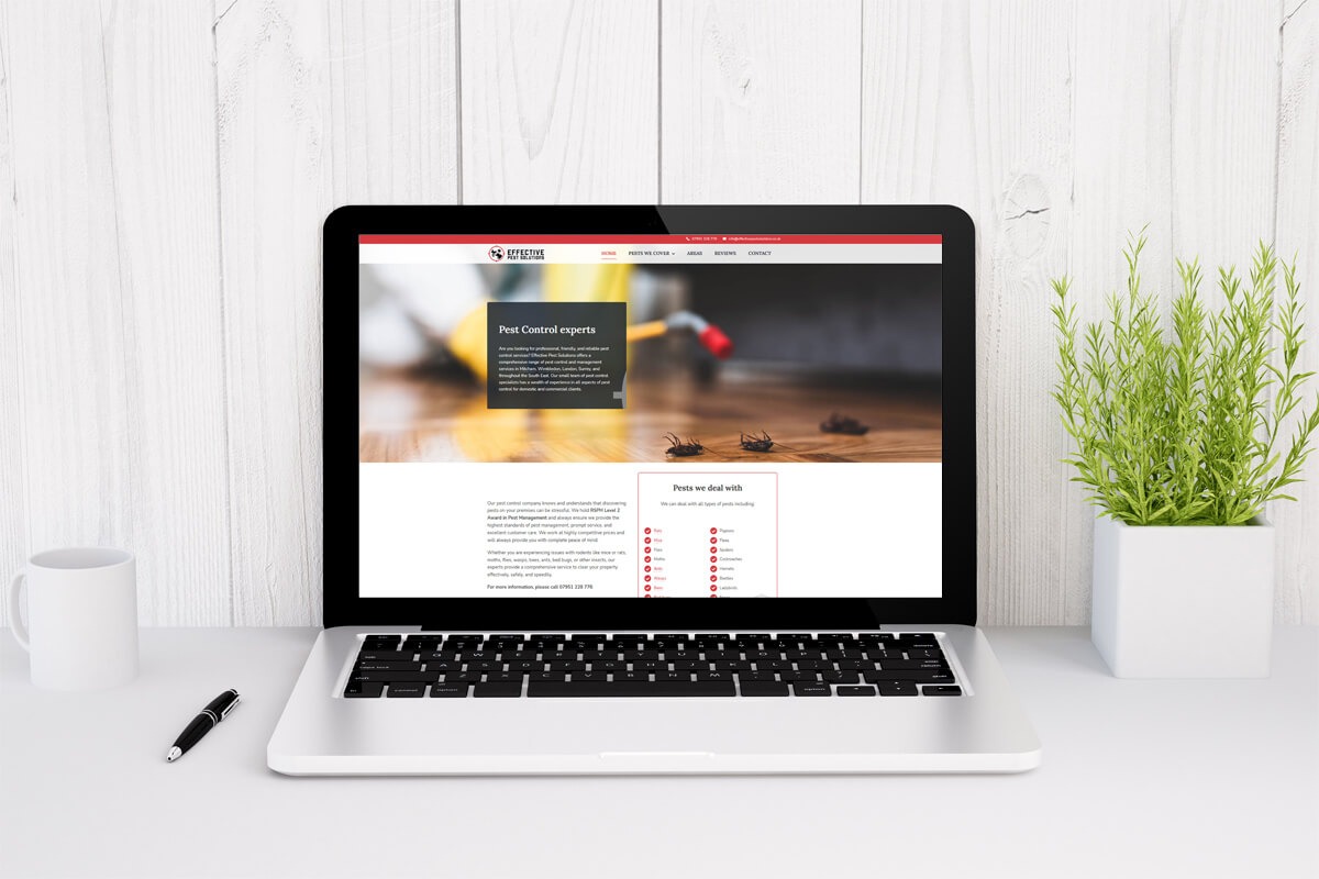 Skilled Web Designers Dubai for Stunning Websites