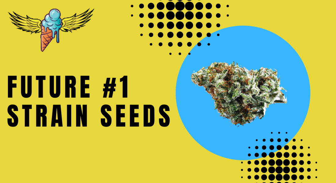 future #1 strain seeds