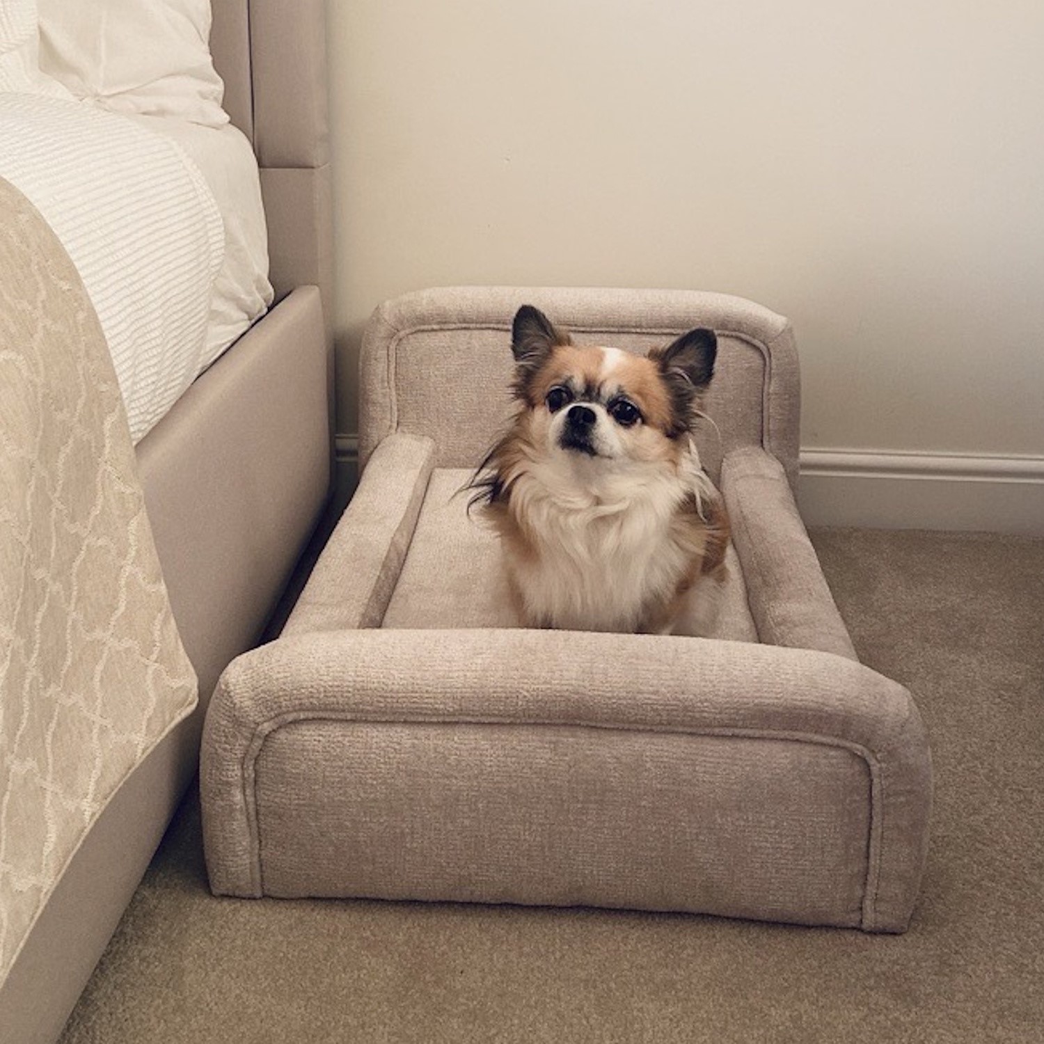 washable dog bed