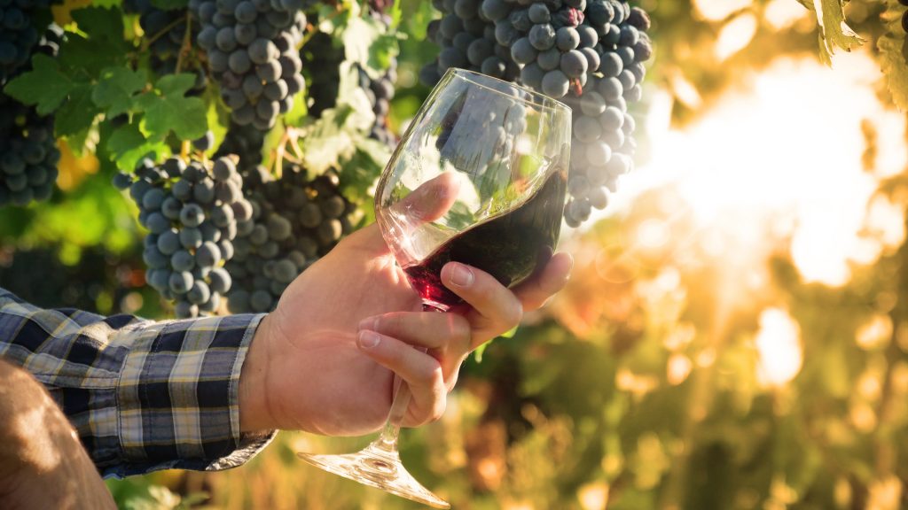 Organic Wine Brands
