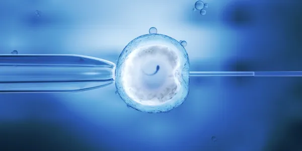 IVF