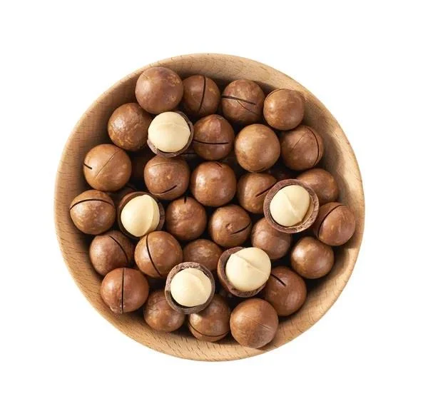 Macadamia Walnuts Chabi Akhrot